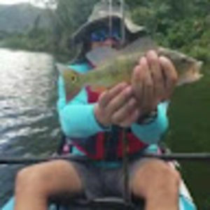 Meet your Posher, Delfin